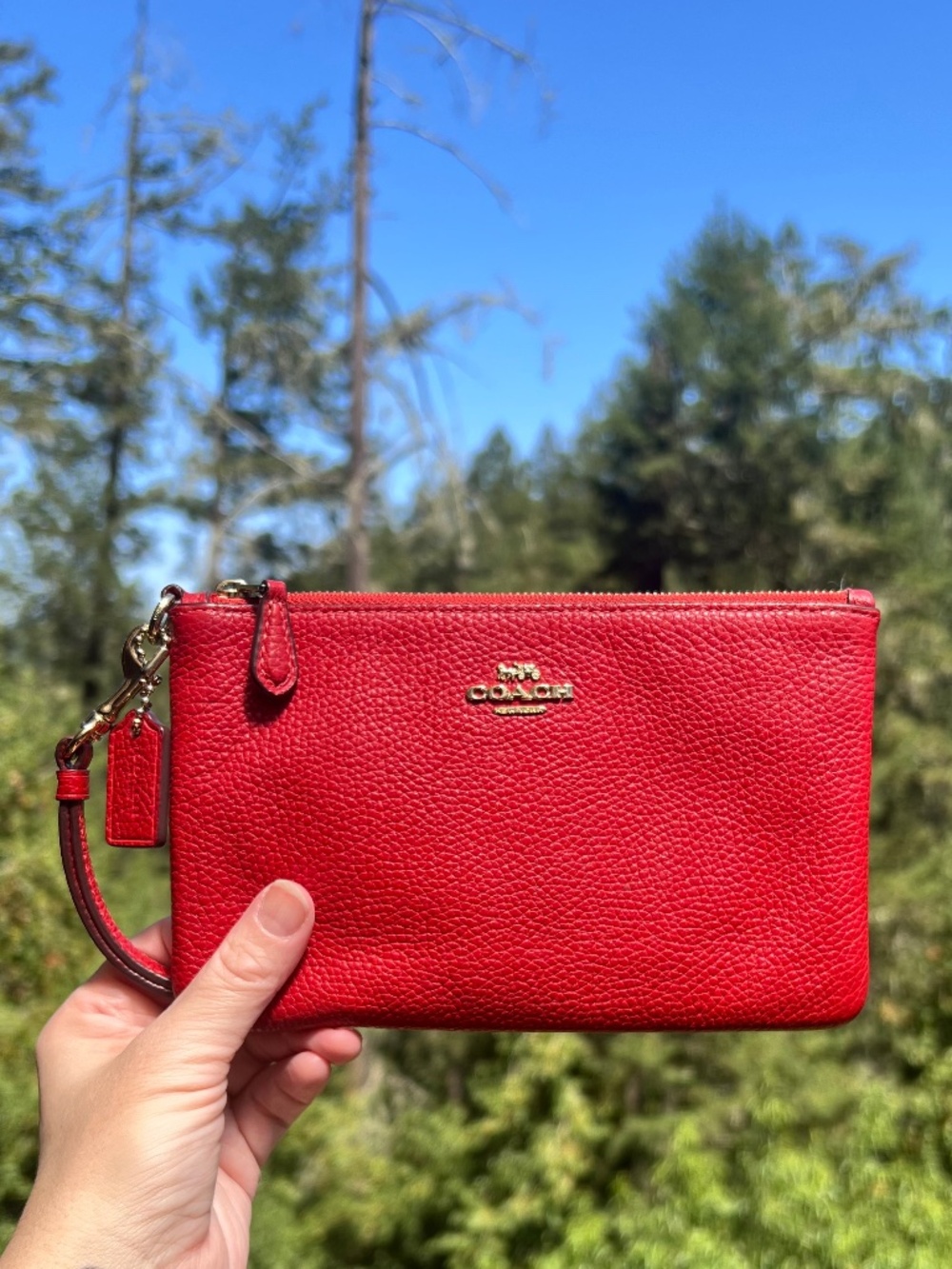 COACH RED Small Pebble Leather Wristlet
Wallet Clutch Gold Hardware AUTHENTIC - Picture 1 of 11